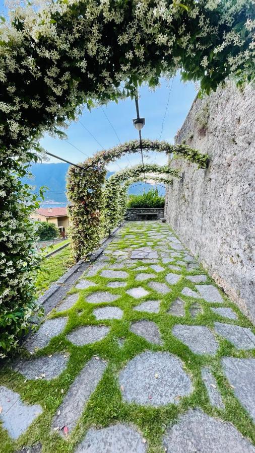 Lake View, Swimming Pool, Tennis Court And Private Parking Mezzegra Exteriör bild